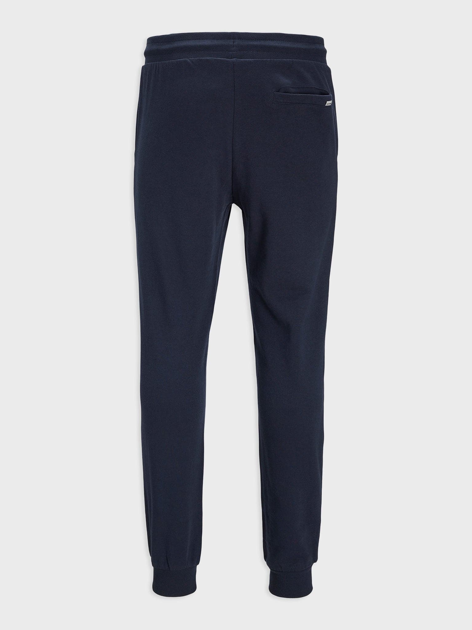 Ανδρικό παντελόνι φόρμας JPSTGORDON JJSHARK SWEAT PANTS AT NOOS 12165322 | 12165322