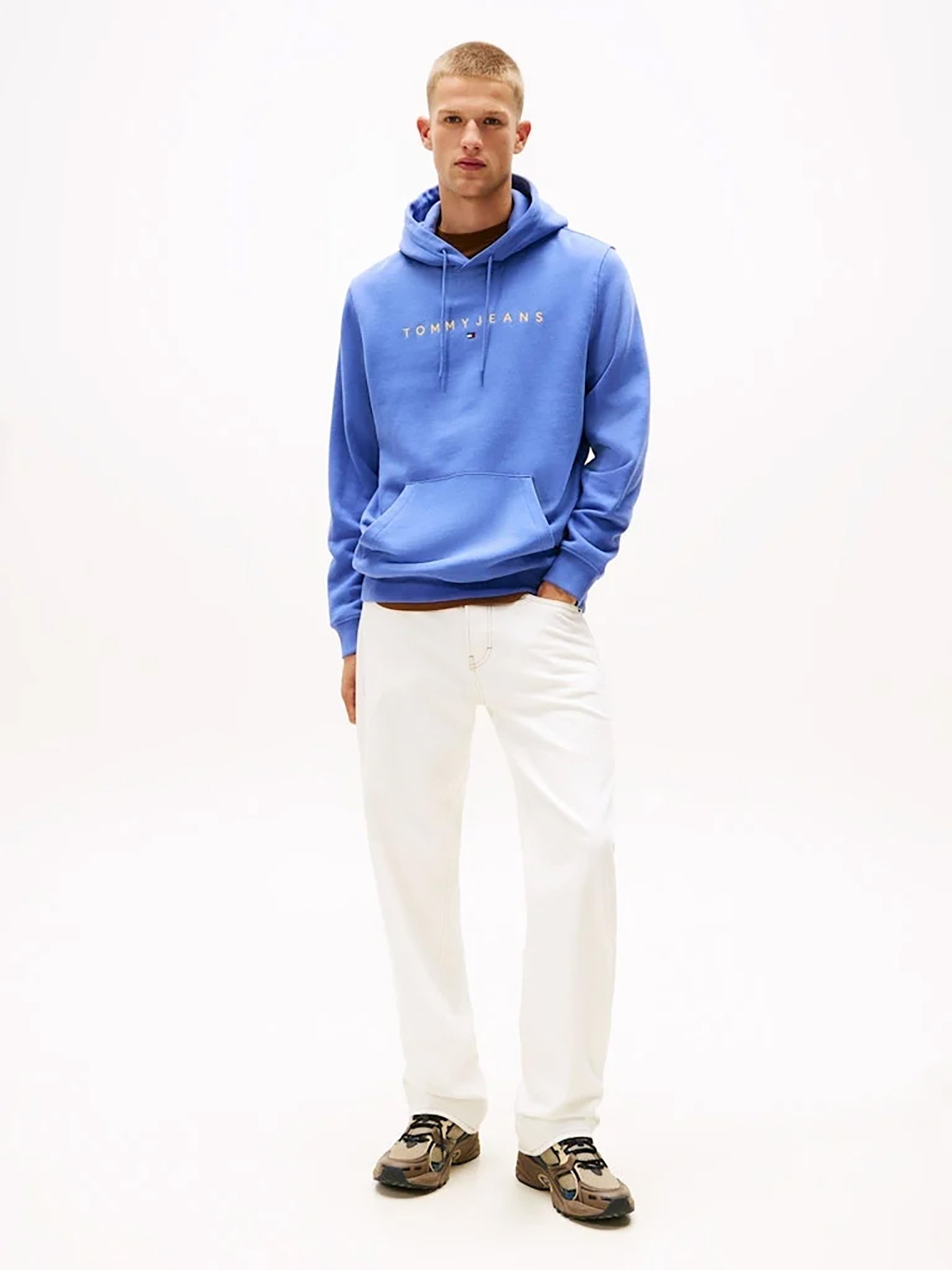 Ανδρική μπλούζα φούτερ TJM REG S FLAG HOODIE DM0DM20742C6D | DM0DM20742C6D