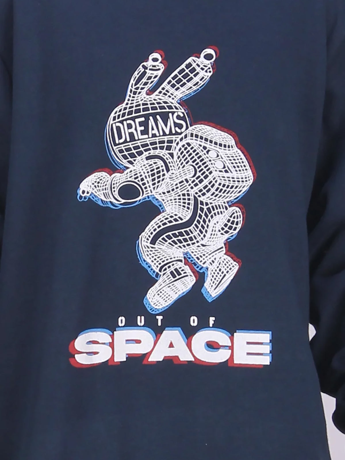 10263019-413_3.jpg