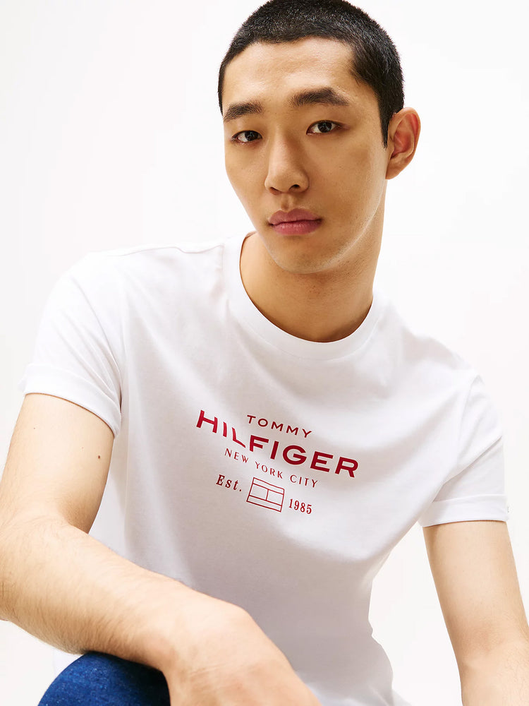 Ανδρικό t-shirt HILFIGER STACK GRAPHIC TEE MW0MW40002YBR | MW0MW40002YBR