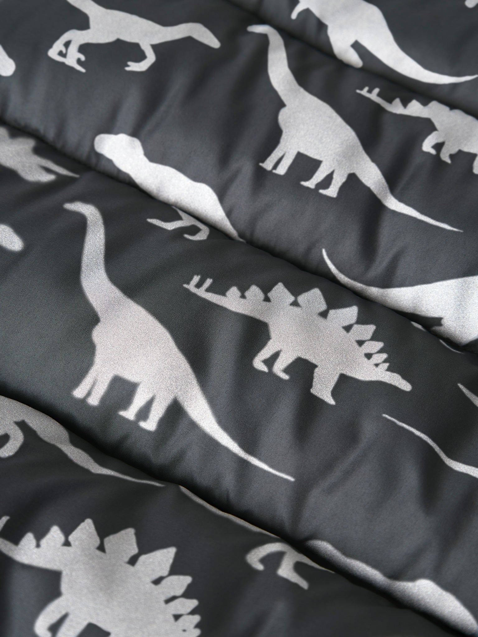 Παιδικό μπουφάν dinos | 13243942