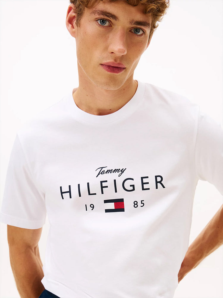 Ανδρικό t-shirt BRAND LOVE BIG HILFIGER TEE MW0MW41455YBR | MW0MW41455YBR