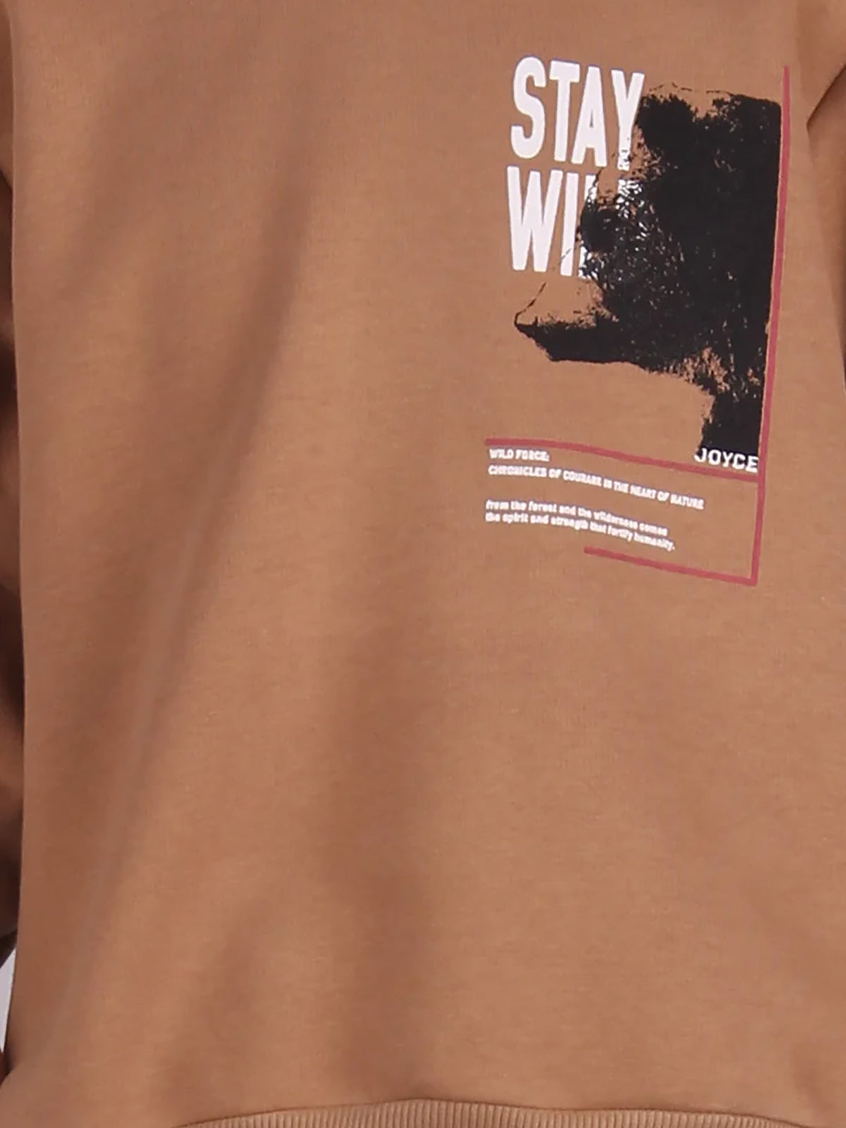 10263265-159_2.jpg