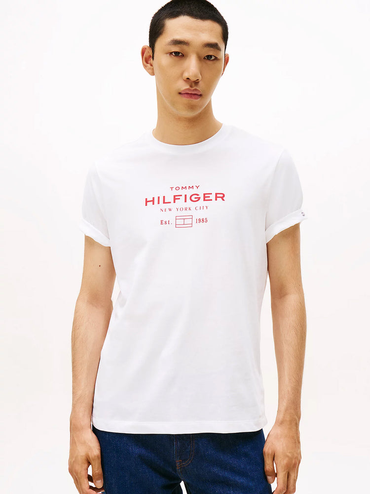 Ανδρικό t-shirt HILFIGER STACK GRAPHIC TEE MW0MW40002YBR | MW0MW40002YBR