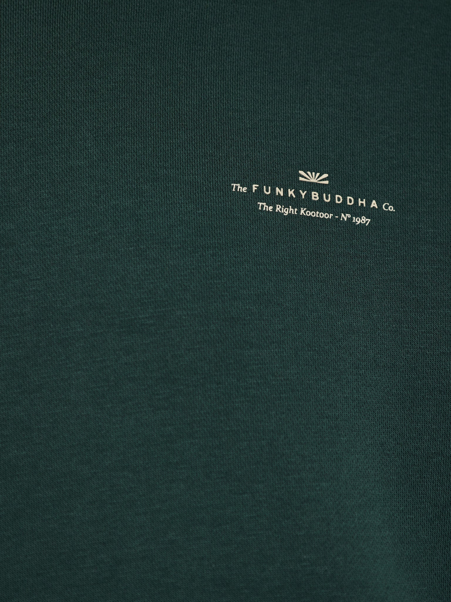 Ανδρική μπλούζα φούτερ pine green FBM012-002-06 | FBM012-002-06