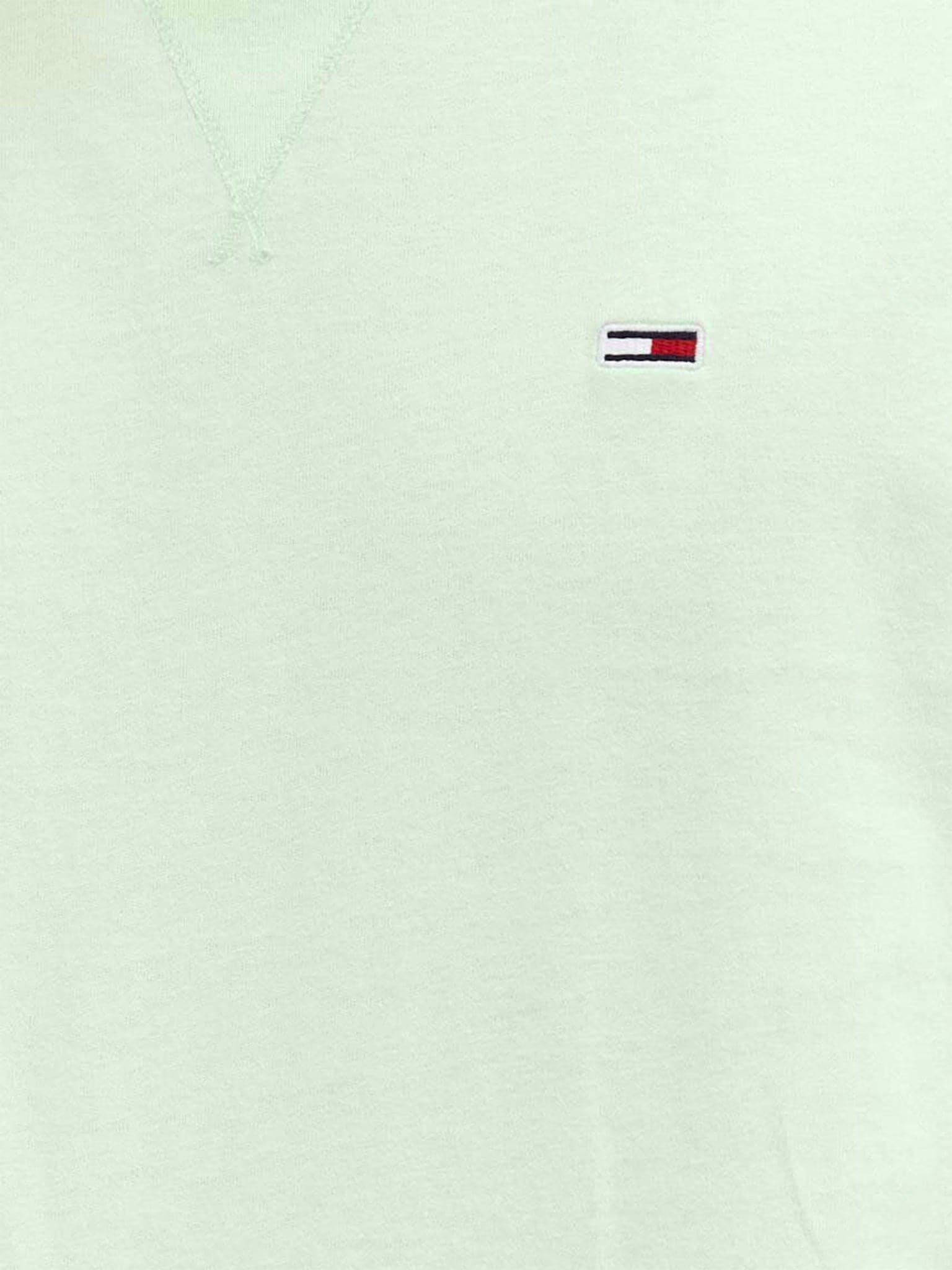 Ανδρικό t-shirt TJM CLSC RIB DETAIL FLAG TEE DM0DM16882LXW | DM0DM16882LXW