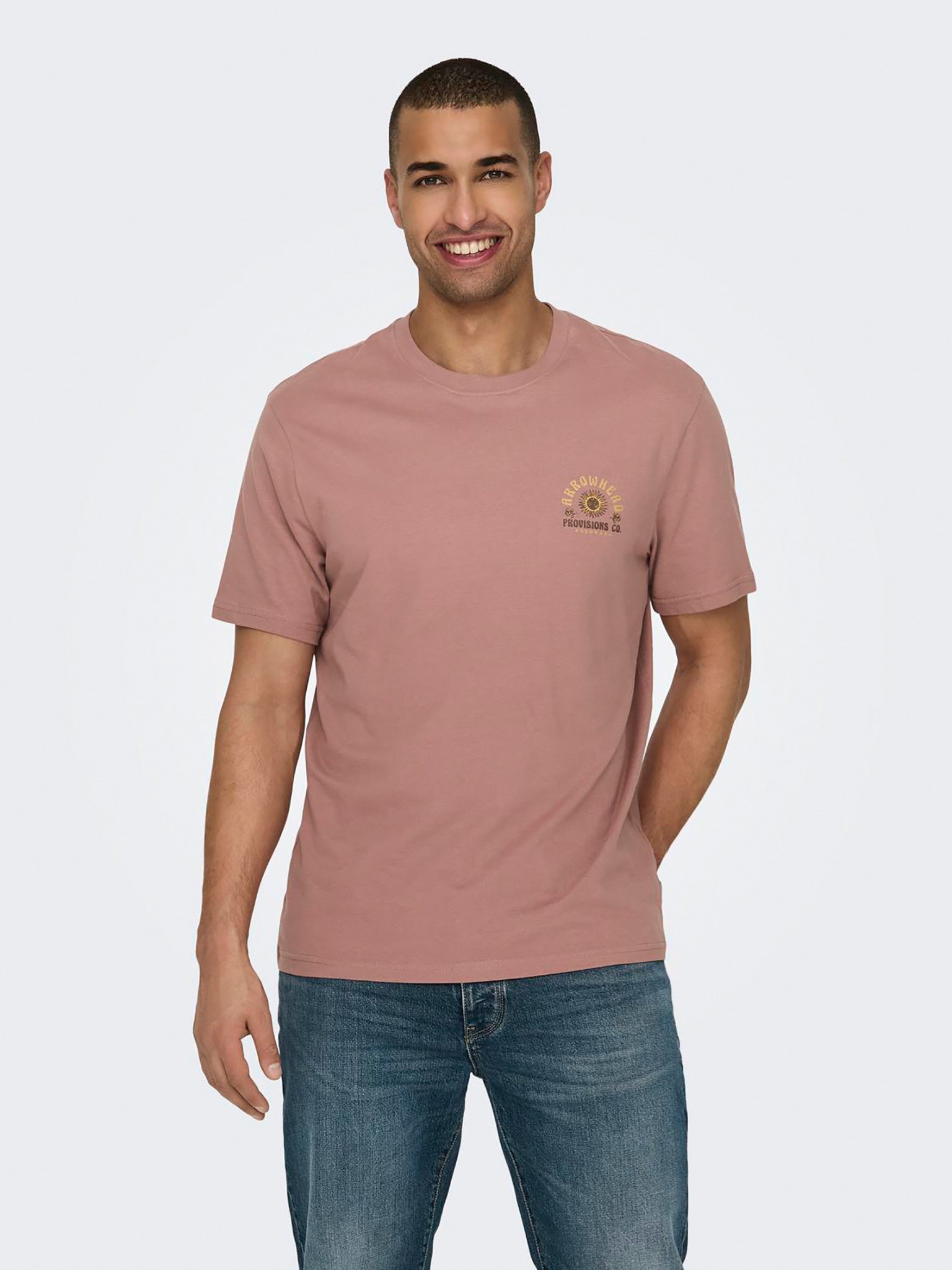 Ανδρικό t-shirt ONSMANUEL LIFE REG SS DESERT TEE 22029483 | 22029483