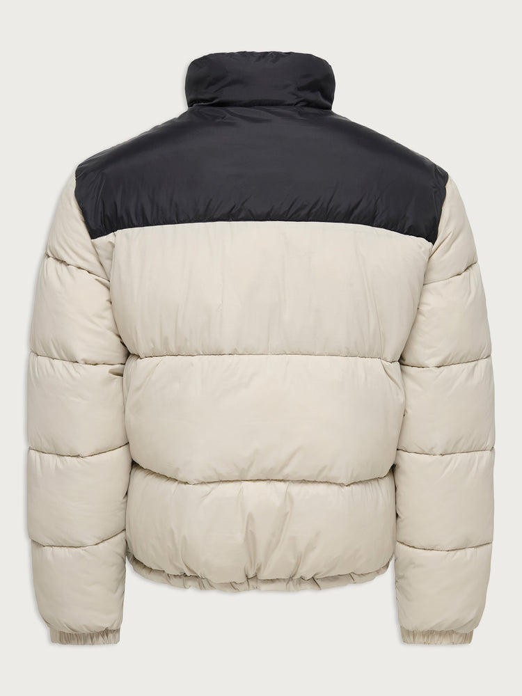 Ανδρικό μπουφάν puffer δίχρωμο 22038824 | 22038824