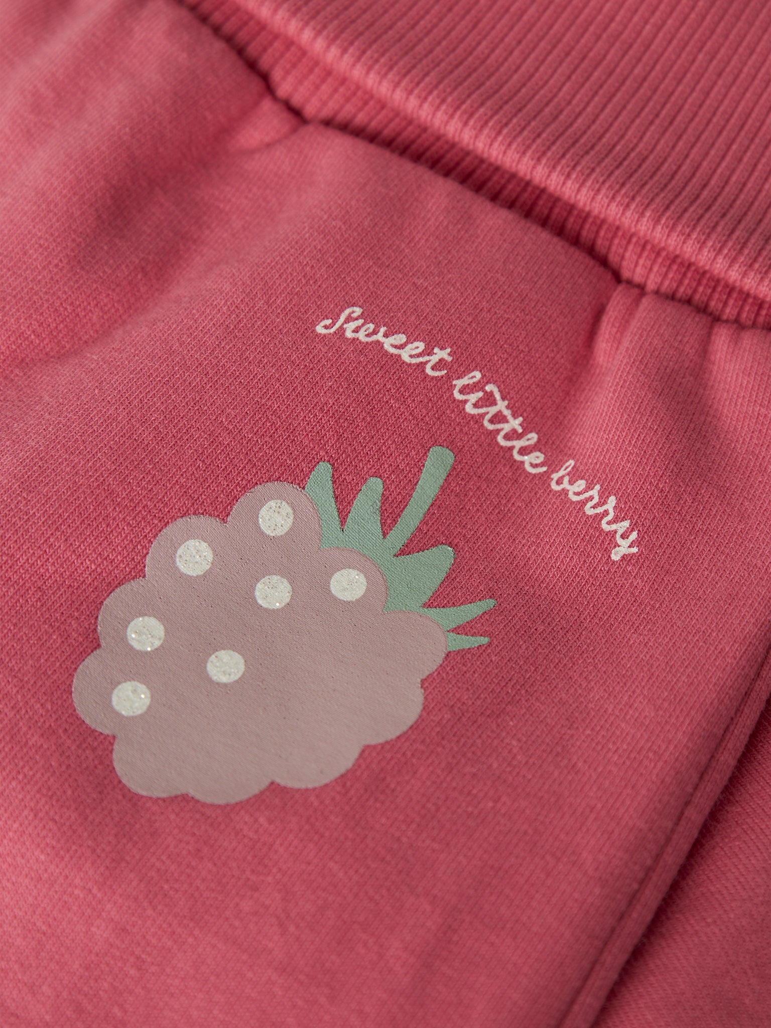 Βρεφικό παντελόνι raspberry NBFVRILLIE SWEAT PANT BOX 13226051 | 13226051