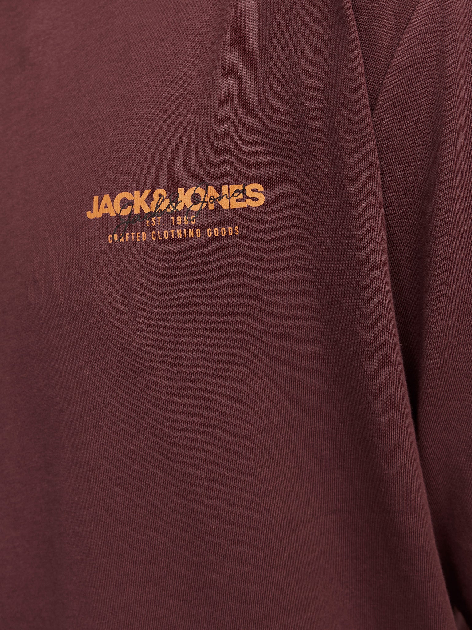 Ανδρική μπλούζα JJALVIS TEE LS CREW NECK 12259735 | 12259735