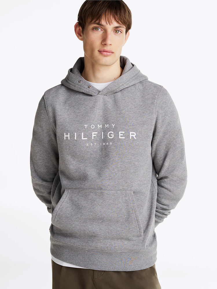 Ανδρική μπλούζα φούτερ TOMMY HILFIGER HOODY MW0MW37455P91 | MW0MW37455P91