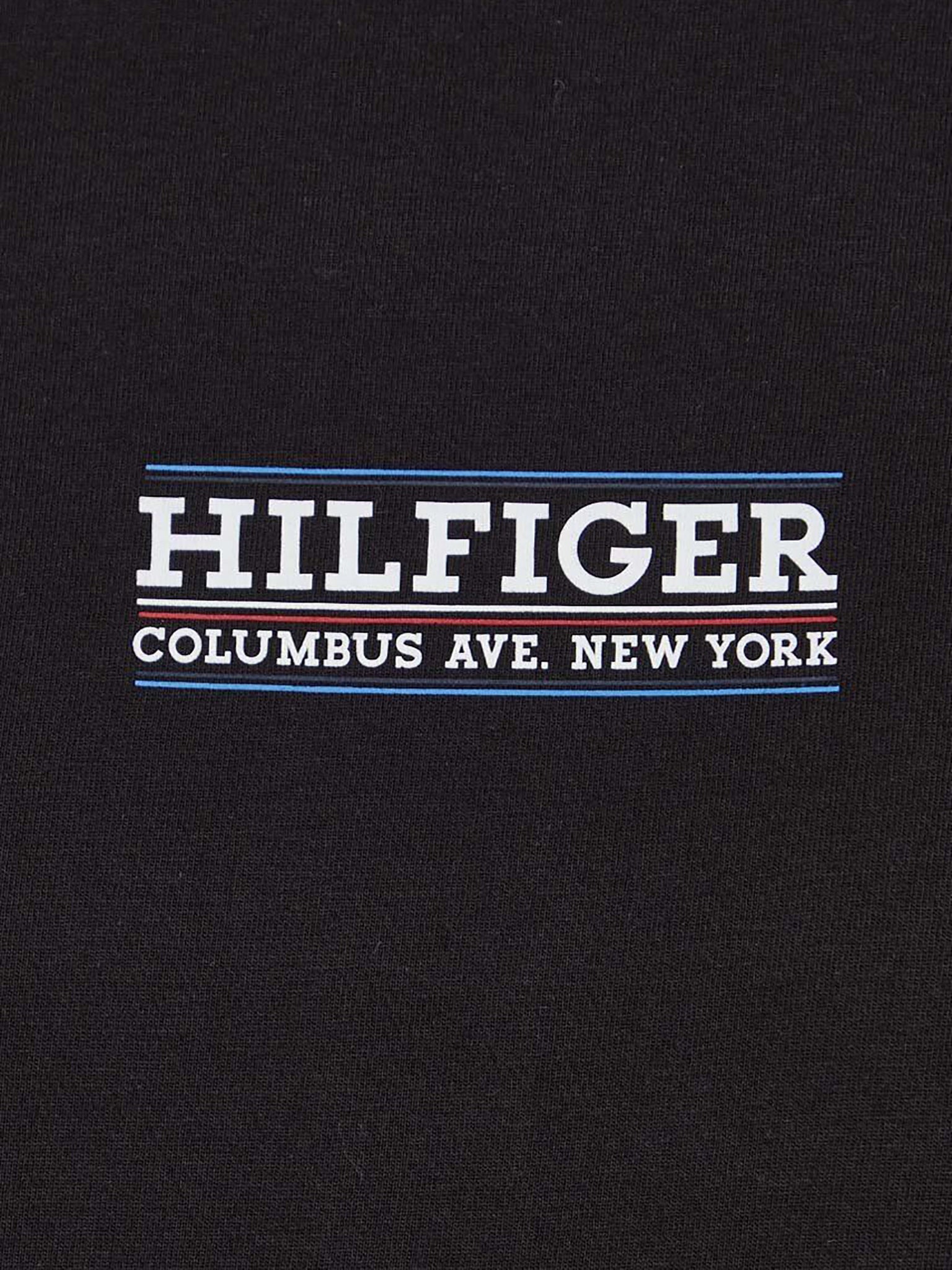 Ανδρικό t-shirt SMALL HILFIGER TEE MW0MW34387BDS | MW0MW34387BDS