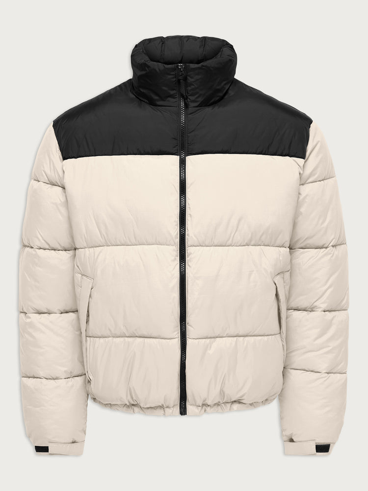 Ανδρικό μπουφάν puffer δίχρωμο 22038824 | 22038824