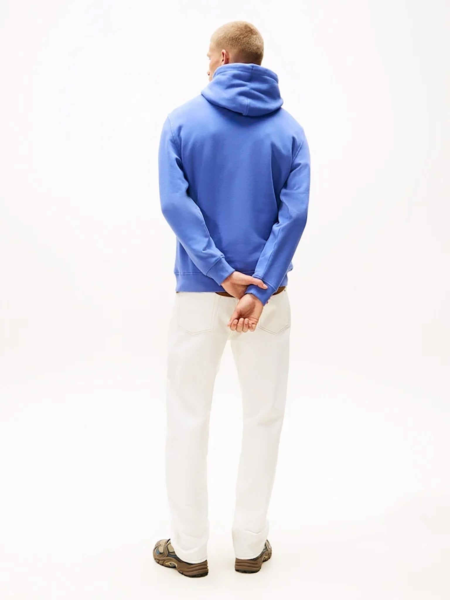 Ανδρική μπλούζα φούτερ TJM REG S FLAG HOODIE DM0DM20742C6D | DM0DM20742C6D