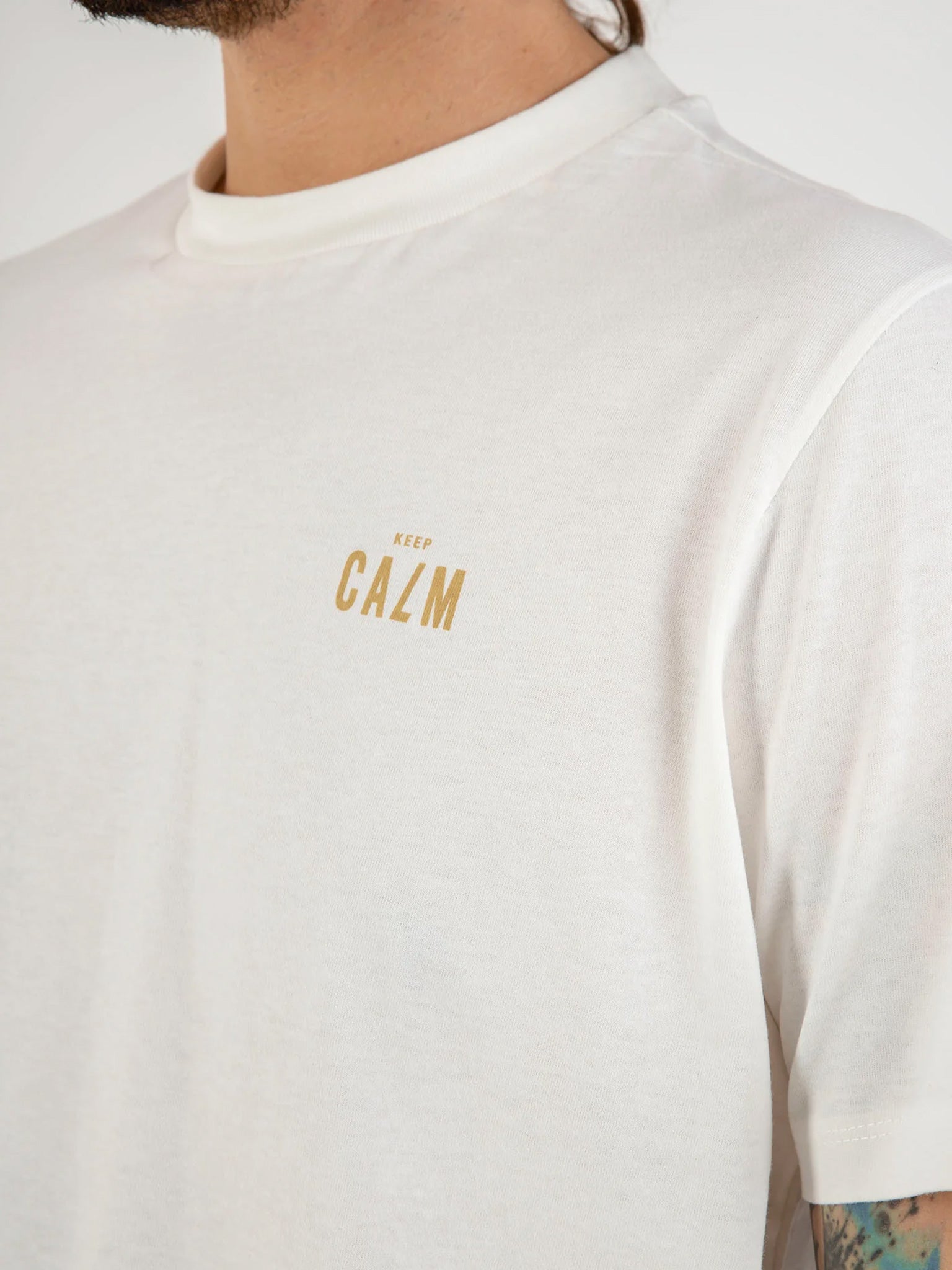 Ανδρικό t-shirt 20718278 | 20718278