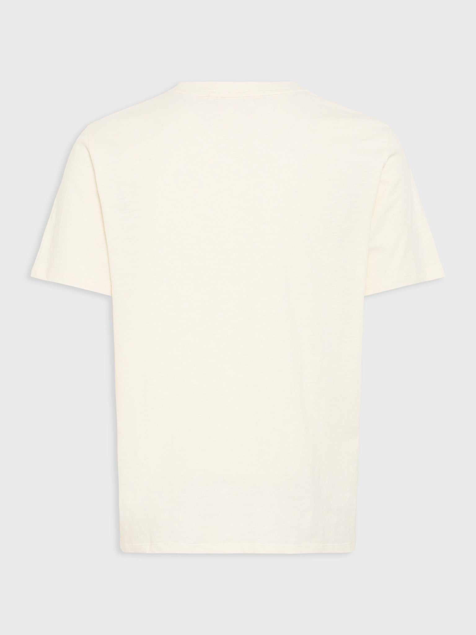 Ανδρικό t-shirt BHIKO FRONT PRINT S/S TEE 20720076 | 20720076