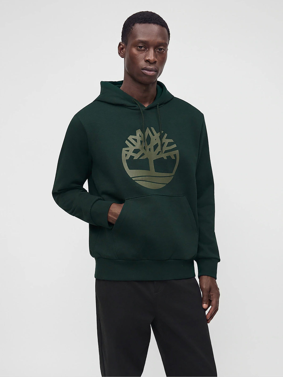 10263296-537_5.jpg