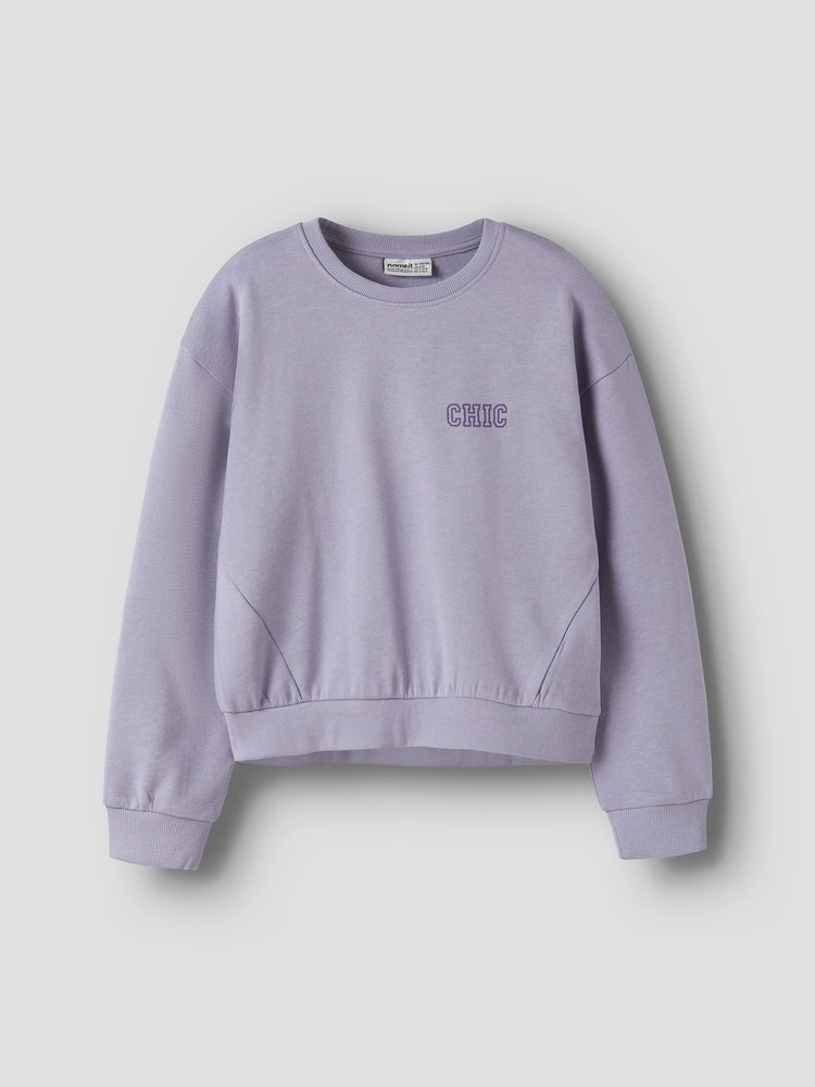 Εφηβική μπλούζα φούτερ NKFVIMA LS RLX SWEAT BRU 13260570 | 13260570