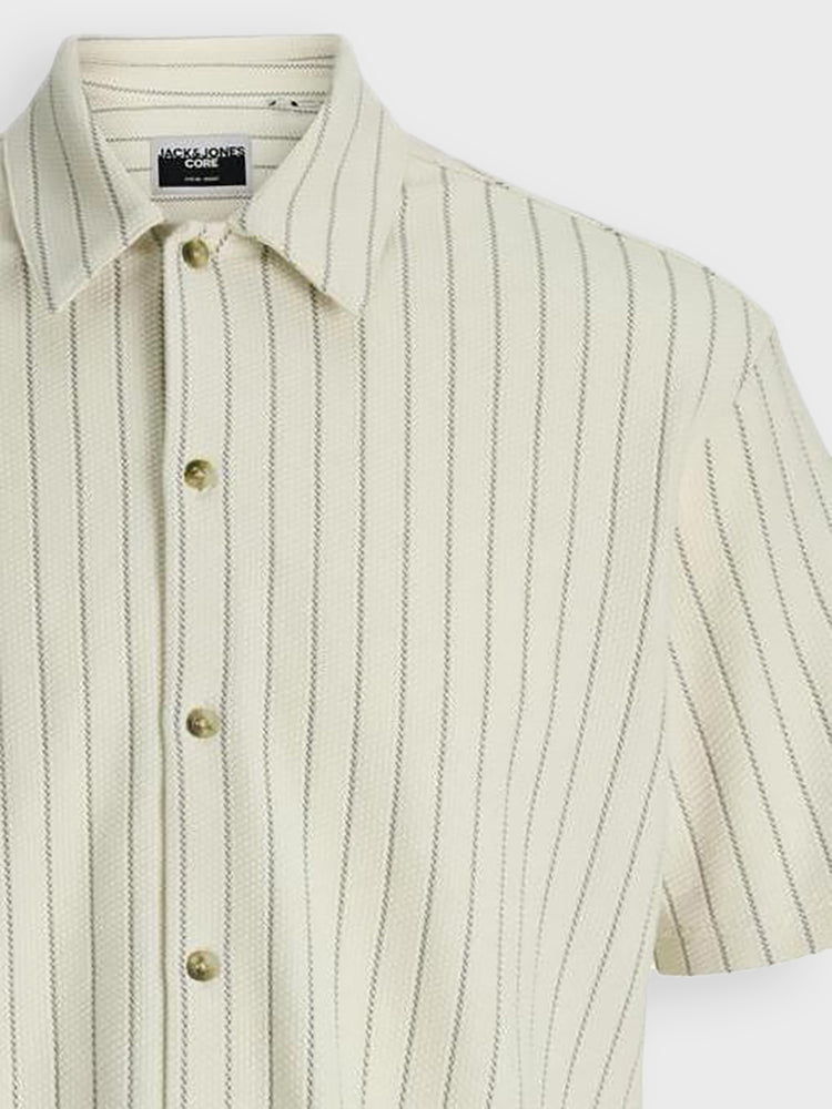 Ανδρικό πουκάμισο ριγέ | 12290212