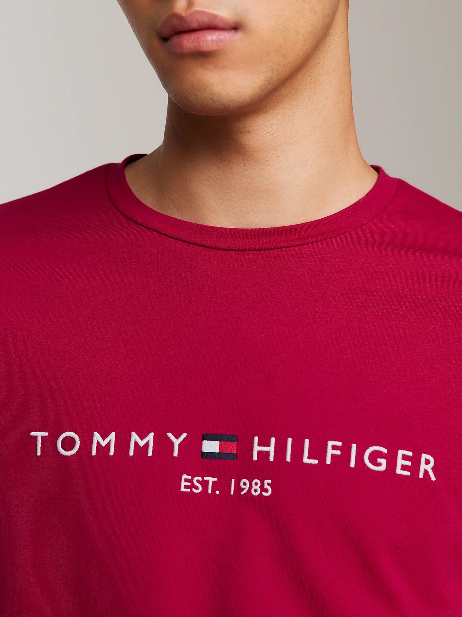 Ανδρικό t-shirt slim fit TOMMY LOGO TEE MW0MW11797XJV | MW0MW11797XJV