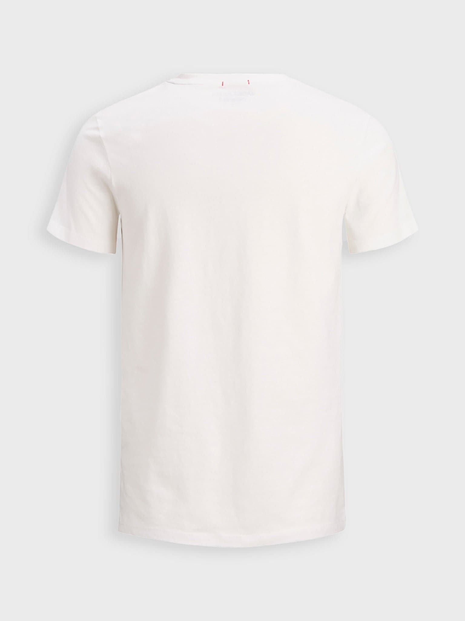 Ανδρικό t-shirt | 12152660