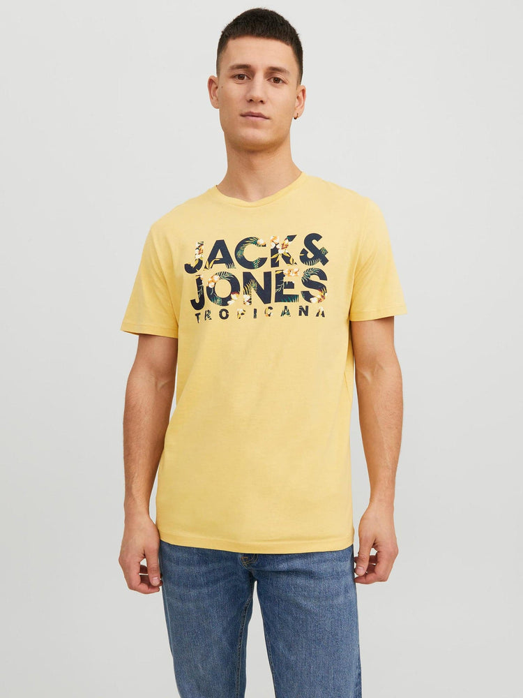 Ανδρικό t-shirt  JJBECS SHAPE TEE SS CREW NECK 12224688 | 12224688